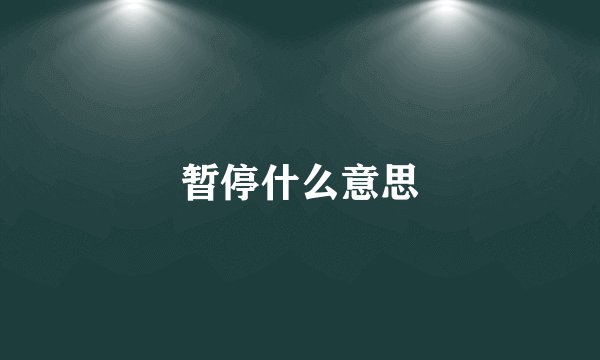 暂停什么意思