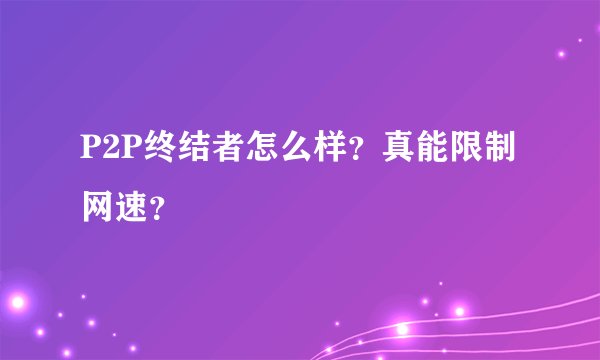 P2P终结者怎么样？真能限制网速？