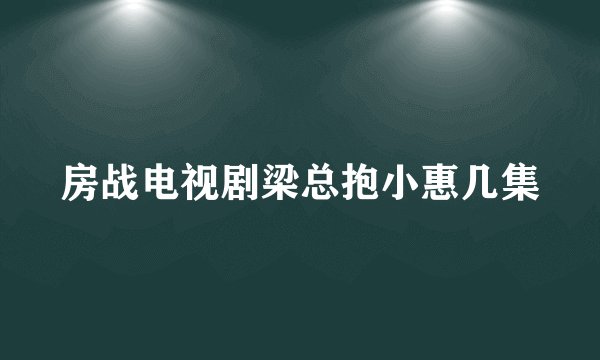 房战电视剧梁总抱小惠几集