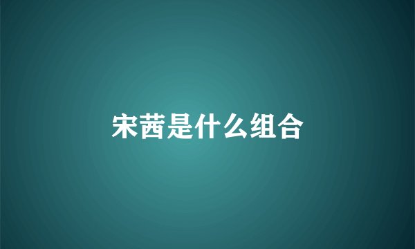 宋茜是什么组合