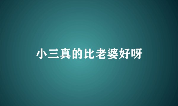 小三真的比老婆好呀