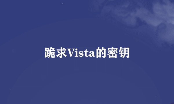 跪求Vista的密钥