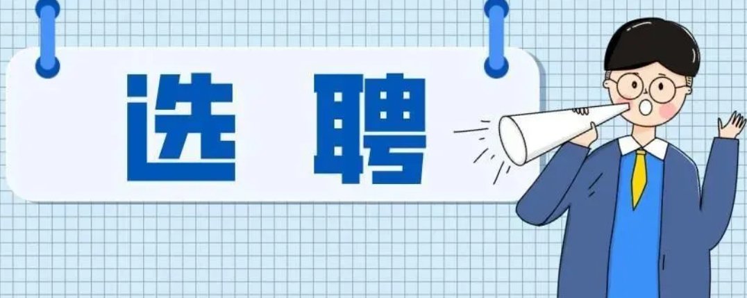选聘怎么读