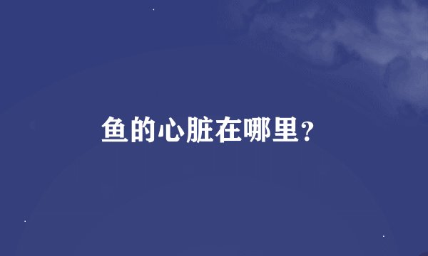 鱼的心脏在哪里？