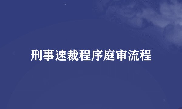 刑事速裁程序庭审流程