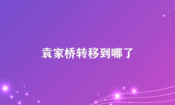 袁家桥转移到哪了