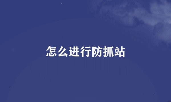 怎么进行防抓站