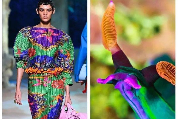 此图中的场景发生在哪年?