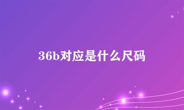 36b对应是什么尺码