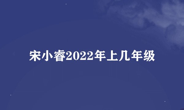 宋小睿2022年上几年级