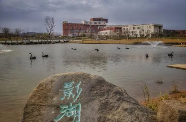 青岛市2023年电影学校录取分数线是多少啊?
