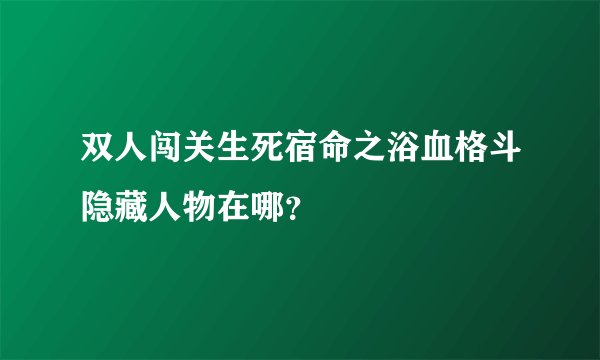 双人闯关生死宿命之浴血格斗隐藏人物在哪？
