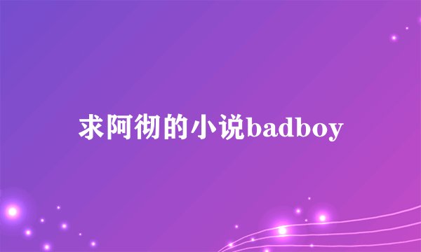 求阿彻的小说badboy