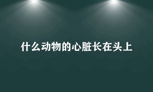 什么动物的心脏长在头上