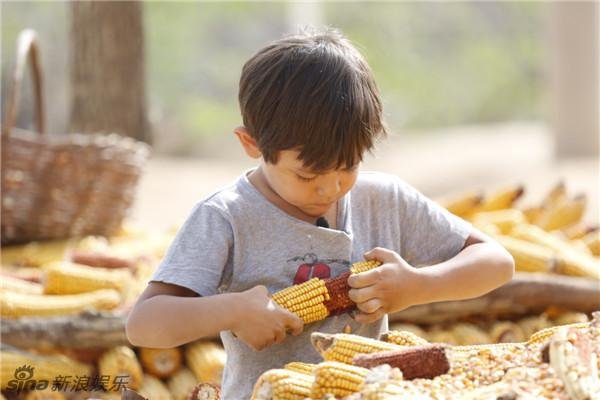 上海一萌娃午睡久不醒，妈妈放《甩葱歌》“强制开机”，这首歌有多魔性？