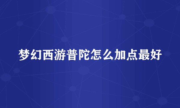 梦幻西游普陀怎么加点最好