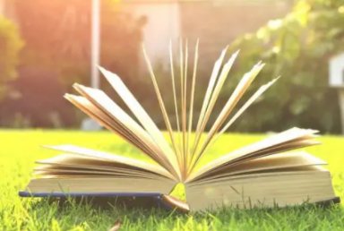 蜜汁肉桃是什么意思？