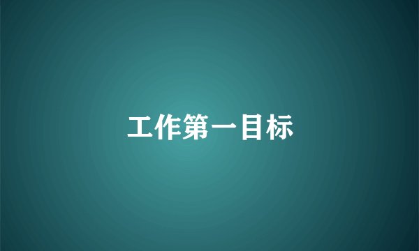 工作第一目标