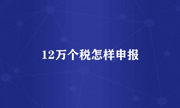 12万个税怎样申报