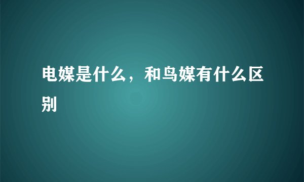 电媒是什么，和鸟媒有什么区别