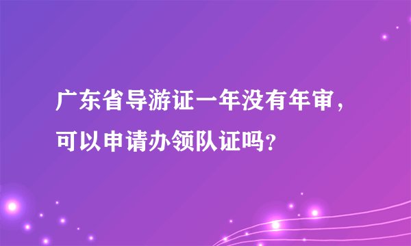广东省导游证一年没有年审，可以申请办领队证吗？