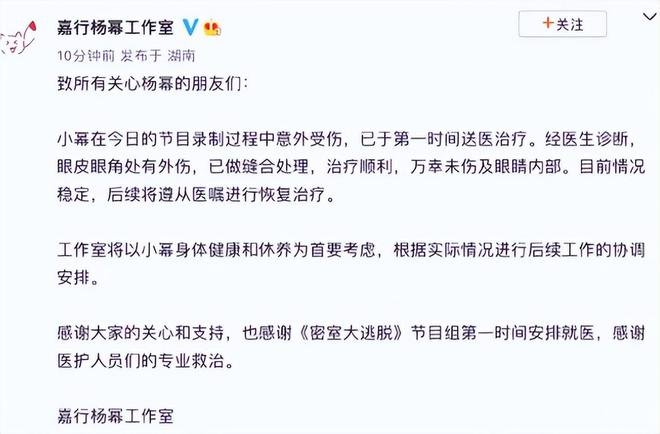 网曝杨幂因受伤严重退出《狐妖小红娘》，该剧的制片人是如何回应的？