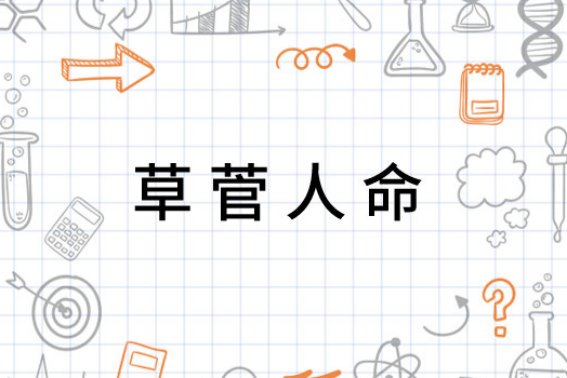 草菅人命什么意思