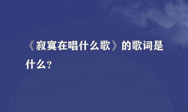 《寂寞在唱什么歌》的歌词是什么？