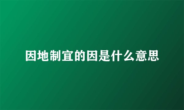 因地制宜的因是什么意思