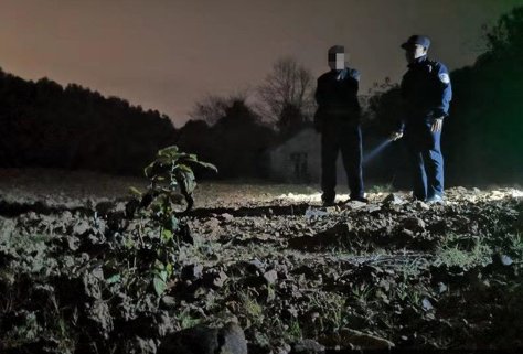 杭州一男子自述住在墓地15年，他到底经历了什么？