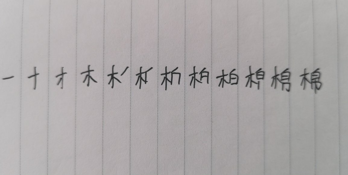 棉的笔顺该怎么写
