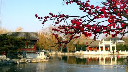 “数九歌”是什么意思？