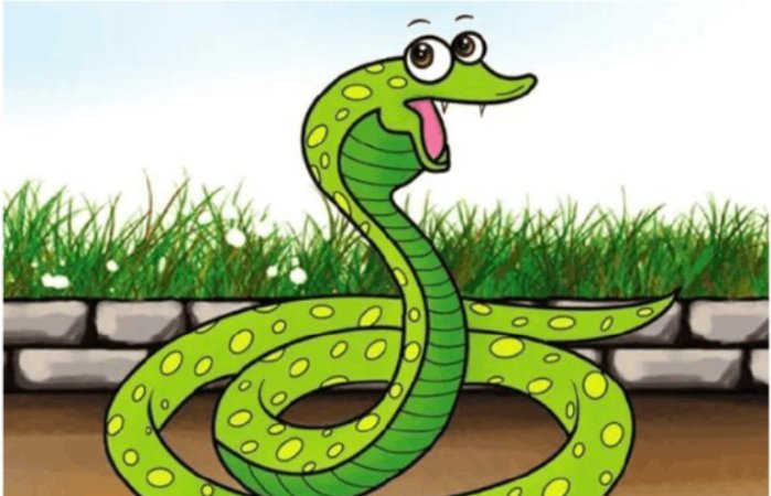 美国一航班上惊现活蛇，乘客尖叫连连，遇到蛇应该怎样自保呢？