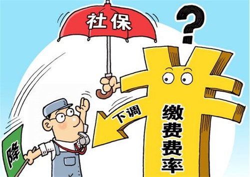 实行措施还是施行措施