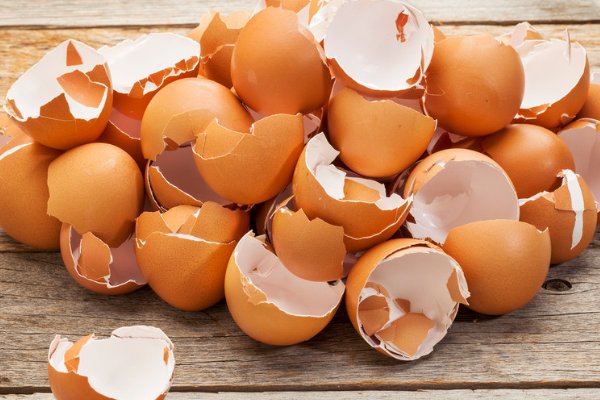 风吹鸡蛋壳是什么意思