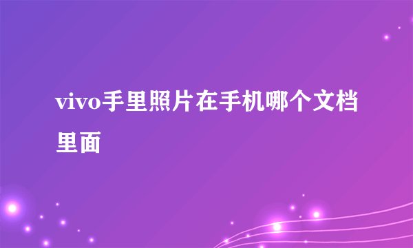 vivo手里照片在手机哪个文档里面