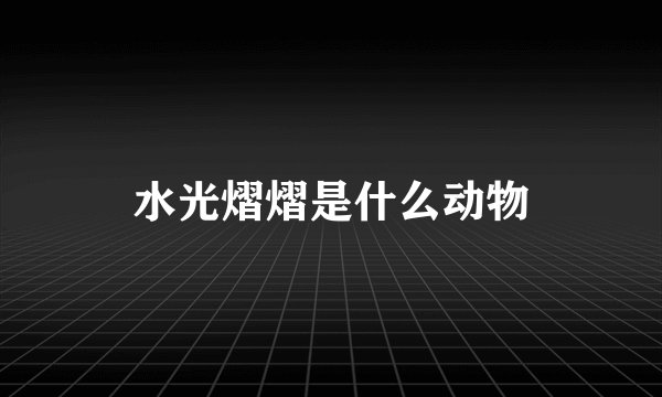 水光熠熠是什么动物
