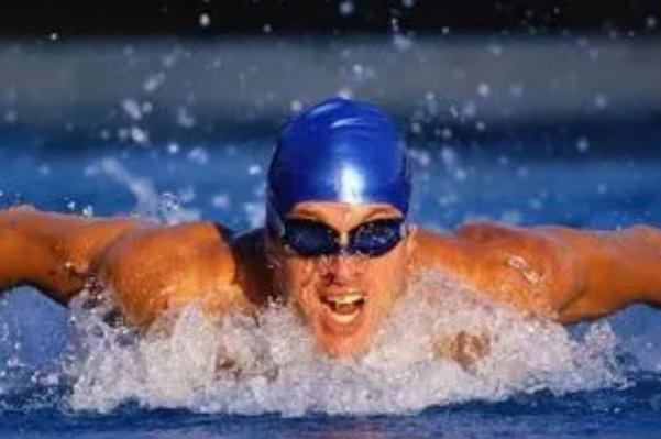 哪种游泳方式被称为海豚泳姿