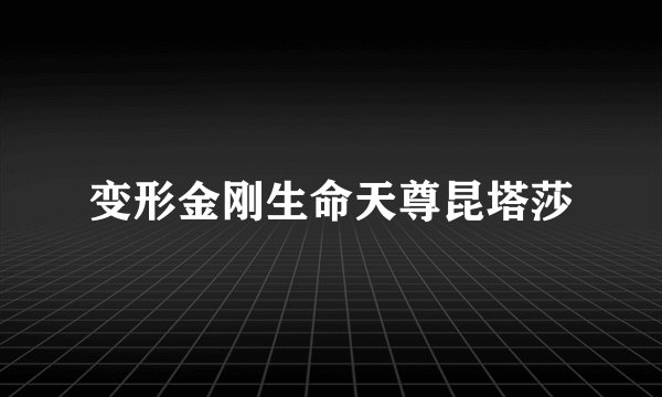 变形金刚生命天尊昆塔莎