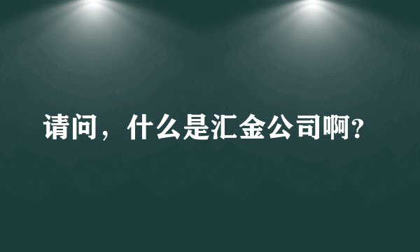 请问，什么是汇金公司啊？