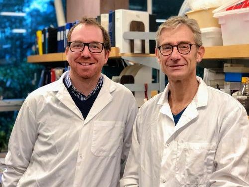 MD是什么意思？