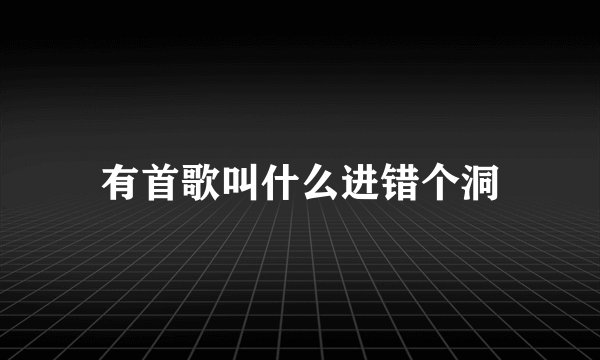 有首歌叫什么进错个洞