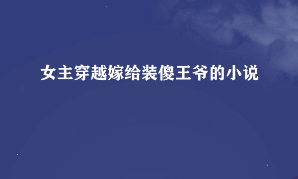 女主穿越嫁给装傻王爷的小说