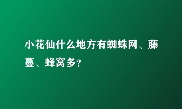 小花仙什么地方有蜘蛛网、藤蔓、蜂窝多？