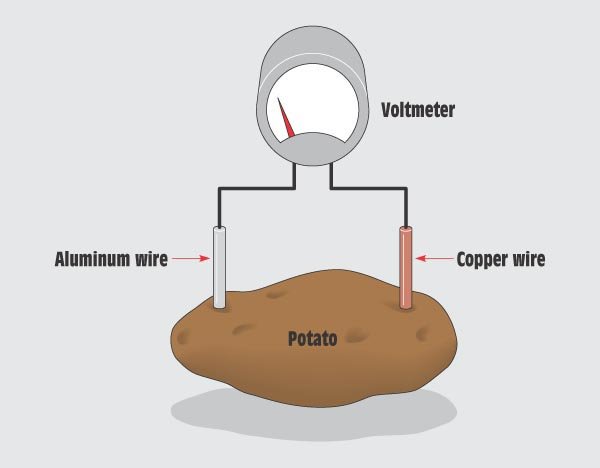 土豆发电的原理是什么？？？