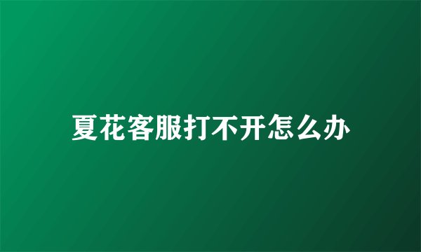 夏花客服打不开怎么办