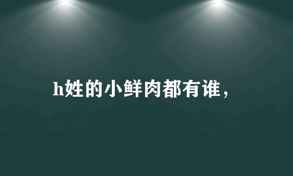 h姓的小鲜肉都有谁，