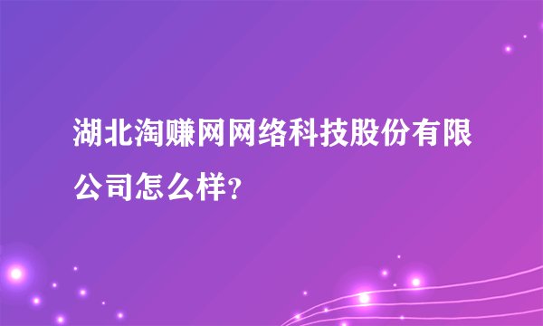湖北淘赚网网络科技股份有限公司怎么样？