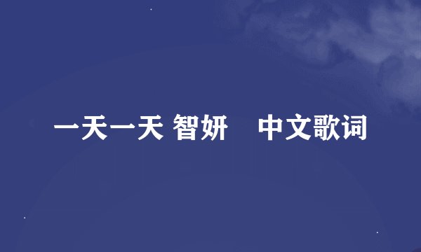 一天一天 智妍　中文歌词