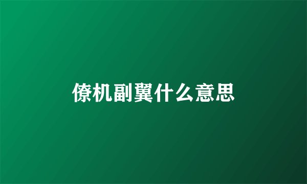 僚机副翼什么意思